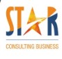 Star Consulting Business
